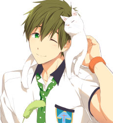  1boy animal_on_shoulder cat cat_on_shoulder cat_teaser closed_mouth commentary_request free! green_eyes green_hair green_necktie male_focus mo_(nmnme) necktie one_eye_closed portrait shirt short_hair short_sleeves smile solo tachibana_makoto white_background white_shirt 
