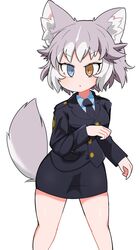  animal_ears bangs black_jacket black_neckwear black_skirt blazer blue_eyes blue_shirt bob_cut brown_eyes commentary dog_(mixed_breed)_(kemono_friends) dog_ears dog_tail dress_shirt grey_hair heterochromia highres jacket kemono_friends long_sleeves looking_to_the_side miniskirt necktie parted_lips pencil_skirt police police_uniform policewoman shirt short_hair simple_background skirt standing tail taro_(taro) uniform white_background wing_collar 