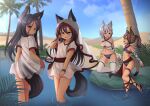  4girls :d absurdres animal_ear_fluff animal_ears black_hair blurry breasts brown_eyes brown_hair cat_ears cat_tail day depth_of_field dress fang fangs flat_chest grey_eyes highres hotel01 looking_at_viewer multicolored_hair multiple_girls oasis open_mouth original outdoors palm_tree ponytail sandals see-through see-through_dress short_dress short_hair short_sleeves small_breasts smile soaking_feet streaked_hair tail thigh-highs tiger_ears tiger_tail tree two-tone_hair veil water wet wet_clothes wet_dress white_hair 