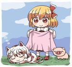  2girls :3 ^_^ animal_ears blonde_hair blue_sky border bow calico cat_ears closed_eyes closed_mouth clouds eyebrows_visible_through_hair goutokuji_mike grass hair_bow holding_blanket long_sleeves looking_at_another maneki-neko multicolored multicolored_clothes multicolored_hair multicolored_shirt multicolored_skirt multicolored_tail multiple_girls outdoors pig red_bow red_eyes red_footwear red_neckwear rokugou_daisuke rumia short_hair short_sleeves skirt sky sleeping smile standing streaked_hair tail touhou touhou_cannonball white_border white_hair white_legwear 