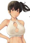  1girl blush bra breasts brown_eyes brown_hair cleavage_cutout closed_mouth clothing_cutout collarbone eyebrows_visible_through_hair hair_between_eyes hand_on_hip highres kaga_(kancolle) kantai_collection large_breasts long_hair side_ponytail simple_background solo underwear upper_body wa_(genryusui) white_background white_bra 