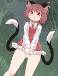  1girl :o animal_ear_fluff animal_ears blush breasts brown_hair cat_ears cat_tail chen chups dress dutch_angle feet_out_of_frame from_below highres jewelry looking_at_viewer multiple_tails nekomata no_hat no_headwear nose_blush open_mouth panties pantyshot red_dress red_eyes short_hair single_earring small_breasts solo tail touhou two_tails underwear 