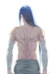  1boy bandaged_arm bandages blue_hair from_behind long_hair male_focus muscular muscular_male rkp scar shirtless shoulder_blades signature simple_background solo the_legend_of_luo_xiaohei white_background wuxian_(the_legend_of_luoxiaohei) 