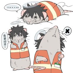  ... 1boy 69b81bfa animal animal_ears animal_focus animal_with_hair animalization black_eyes black_hair chinese_commentary chinese_text commentary_request false_memory guan_chao_(false_memory) halo high-visibility_clothing high-visibility_vest highres id_card male_focus mouse_boy mouse_ears mouse_tail orange_vest simple_background speech_bubble tail tear_troughs tears translation_request vest white_background 