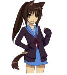 cardigan cat_ears genderswap kyon kyonko lowres ponytail school_uniform solo suzumiya_haruhi_no_yuuutsu tail 