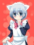  animal_ears ayasaki_hayate cat_ears chany crossdressing crossdressinging hayate_no_gotoku! maid male solo trap 