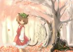  autumn bad_id brown_eyes brown_hair cat_ears cat_tail chen earrings forest hat jewelry leaf multiple_tails nature sanoharu short_hair solo tail touhou tree 