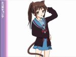  cardigan cat_ears genderswap kyon kyonko ponytail school_uniform solo suzumiya_haruhi_no_yuuutsu tail 