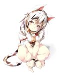  1girl :o animal_ears barefoot breasts cat_ears cat_tail from_above full_body gorilla_(bun0615) goutokuji_mike head_tilt highres indian_style medium_breasts multicolored_hair red_eyes shirt short_hair shorts silver_hair simple_background sitting solo streaked_hair tail touhou white_background white_shirt white_shorts 