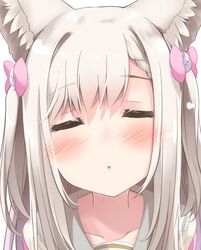  1girl :o animal_ear_fluff animal_ears animare bangs blush bow braid braided_bangs brown_shirt closed_eyes collarbone eyebrows_visible_through_hair facing_viewer grey_hair grey_sailor_collar hair_bow highres incoming_kiss long_hair parted_lips pink_bow sailor_collar sch school_uniform serafuku shiromiya_mimi shirt simple_background solo two_side_up upper_body virtual_youtuber white_background 