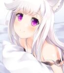  1girl animal_ear_fluff animal_ears animare bangs bare_shoulders bed_sheet blurry blurry_background breasts closed_mouth collarbone depth_of_field eyebrows_visible_through_hair highres long_hair lying on_stomach pillow sch shiromiya_mimi small_breasts smile solo strap_slip violet_eyes virtual_youtuber white_hair 