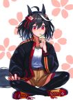  1girl ahoge animal_ears black_hair black_jacket black_legwear brown_shorts cup drinking drinking_straw floral_background hair_between_eyes hair_ribbon highres holding holding_cup horse_ears horse_girl horse_tail indian_style jacket kitasan_black looking_at_viewer multicolored_hair open_clothes open_jacket red_eyes red_footwear red_ribbon ribbon shirt shoes short_hair shorts sitting solo streaked_hair tail thigh-highs umamusume white_hair white_shirt window1228 