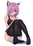  1girl absurdres animal_ears ayul_(ayulneri_92) bangs black_legwear black_swimsuit blush breasts cat_ears fate/grand_order fate_(series) hair_over_one_eye highres knees_up large_breasts light_purple_hair looking_at_viewer mash_kyrielight one-piece_swimsuit open_mouth short_hair simple_background swimsuit thigh-highs violet_eyes wet white_background 