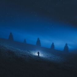  1other ambiguous_gender black_coat black_hat black_sky blender_(medium) coat commentary english_commentary fog hat highres horizon meadow nature night original outdoors outrunyouth scenery sky standing star_(sky) tree wide_shot 