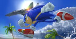  1boy absurdres aircraft airplane animal_nose black_nose blue_fur fighter_jet furry furry_male gloves hedgehog_boy highres military_vehicle palm_tree red_shoes running rythayze shoes short_tail smile sonic_(series) sonic_the_hedgehog sun tail tree white_gloves 