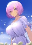  1girl :o absurdres bangs blue_sky breasts dress eyebrows_visible_through_hair fate/grand_order fate_(series) field flower flower_field highres looking_at_viewer lordol mash_kyrielight puffy_short_sleeves puffy_sleeves purple_hair shiny shiny_hair short_hair short_sleeves sky solo violet_eyes 
