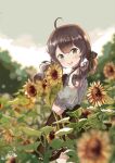  1girl :d ahoge bangs blurry blurry_background blurry_foreground blush brown_hair brown_skirt clothing_cutout commentary_request day depth_of_field eyebrows_visible_through_hair field flower flower_field green_eyes grey_shirt hair_between_eyes hololive long_hair looking_at_viewer looking_to_the_side lunacats natsuiro_matsuri open_mouth outdoors puffy_short_sleeves puffy_sleeves round_teeth shirt short_sleeves shoulder_cutout signature skirt smile solo sunflower teeth twintails upper_teeth virtual_youtuber yellow_flower 