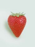  blurry commentary_request food food_focus fruit kya4 no_humans original photorealistic shiny still_life strawberry white_background 