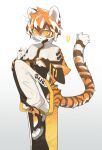  1girl absurdres animal_ears arknights black_dress black_gloves bridal_gauntlets brown_hair capelet commentary dress furry glasses gloves highres looking_at_viewer multicolored_hair open_mouth orange_hair sandals short_hair simple_background solo standing standing_on_one_leg tail tiger_ears tiger_girl tiger_tail tinted_eyewear tukumo waai_fu_(arknights) white_background white_capelet white_hair white_legwear 