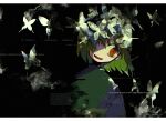  1other bangs black_background brown_hair bug butterfly chara_(undertale) glitch green_sweater hair_between_eyes hair_over_one_eye insect open_mouth red_eyes simple_background solo soumenhiyamugi sweater undertale upper_body white_butterfly 