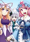  blonde_hair blue_eyes hat kirisaki kirisaki_akihito konpaku_youmu konpaku_youmu_(ghost) myon pink_eyes pink_hair purple_eyes saigyouji_yuyuko silver_hair touhou yakumo_yukari 