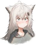  1girl animal_ears arknights blush closed_mouth commentary_request cropped_torso eyebrows_visible_through_hair grey_eyes grey_jacket hair_ornament hairclip high_collar hood hood_down hooded_jacket jacket korean_commentary lappland_(arknights) long_hair looking_away runamonet scar scar_across_eye silver_hair simple_background solo upper_body white_background wolf_ears wolf_girl 