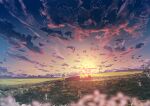  abisswalker8 blurry blurry_foreground clouds cloudy_sky commentary field flower grass highres horizon no_humans original outdoors plain rock scenery sky star_(sky) sunlight sunrise white_flower yellow_flower yellow_sky 