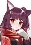  1girl animal_ears bangs blunt_bangs blush closed_mouth enpera eyebrows_visible_through_hair fox_ears gloves hand_up highres hoshi_usagi looking_at_viewer original purple_hair red_eyes red_scarf scarf simple_background solo white_background 