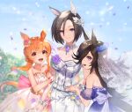  3girls :d air_groove_(umamusume) animal_ears bangs bare_shoulders black_hair blue_dress blue_eyes blue_flower blue_rose blurry blurry_background blush brown_eyes brown_hair commentary_request confetti depth_of_field dress eyebrows_visible_through_hair flower gloves hair_between_eyes hair_flower hair_ornament hair_over_one_eye highres holding_another&#039;s_arm holding_hands horse_ears horse_girl horse_tail jacket long_hair looking_at_viewer mayano_top_gun_(umamusume) multicolored multicolored_nails multiple_girls nail_polish open_mouth pants pink_dress pink_nails purple_flower purple_rose rice_shower_(umamusume) rose short_hair sleeveless sleeveless_dress smile standing strapless strapless_dress sunflower tail tsunakawa twitter_username umamusume veil violet_eyes white_gloves white_jacket white_pants yellow_flower yellow_nails 