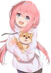  1girl absurdres animal bangs blue_collar blue_eyes collar dog eyebrows_visible_through_hair eyes_visible_through_hair file112056 hair_between_eyes hair_ribbon highres holding holding_animal holding_dog hood hoodie kagamihara_nadeshiko long_hair long_sleeves looking_at_viewer low_twintails open_mouth pink_hair ribbon shadow sidelocks simple_background smile solo standing twintails white_background white_hoodie yurucamp 