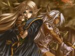  deedlit highres pirotess record_of_lodoss_war tagme 