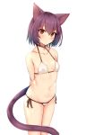  1girl animal_ears arms_behind_back bikini breasts brown_hair cat_ears cat_girl cat_tail collar highres kida_kuro_mu original parted_lips red_eyes short_hair slit_pupils small_breasts standing swimsuit tail white_bikini 