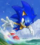  1boy animal_nose blue_sky english_commentary furry gloves green_eyes highres male_focus rainbow red_footwear running rythayze shoes sky smile sneakers solo sonic_(series) sonic_the_hedgehog water white_gloves 