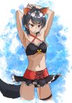  1girl absurdres arms_up bare_arms bare_shoulders belt bikini bikini_skirt black_bikini black_hair commentary_request cowboy_shot extra_ears eyebrows_visible_through_hair fang frilled_bikini frills frown highres kemono_friends kemono_friends_3 midriff navel official_alternate_costume orange_eyes red_belt short_hair solo swimsuit tanabe_(fueisei) tasmanian_devil_(kemono_friends) tasmanian_devil_ears tasmanian_devil_tail thigh_strap 