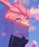  1girl absurdres animal_ears blue_sky cherry_blossoms clouds cloudy_sky fox_ears highres honkai_(series) honkai_impact_3rd huge_filesize look_what556 open_mouth petals pink_hair shaded_face shadow sky teeth tree_shade violet_eyes yae_sakura 