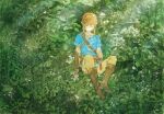  1boy belt blonde_hair blue_tunic boots brown_belt brown_footwear brown_gloves brown_pants closed_eyes closed_mouth fingerless_gloves flower gloves grass hair_over_one_eye lingcod_dayu link male_focus outdoors pants pointy_ears sidelocks sitting solo the_legend_of_zelda the_legend_of_zelda:_breath_of_the_wild tunic white_flower 