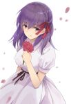  1girl bangs breasts closed_mouth commentary_request dress fate/stay_night fate_(series) flower hair_ribbon hand_up holding holding_flower large_breasts looking_at_viewer matou_sakura medium_hair official_alternate_costume petals puffy_short_sleeves puffy_sleeves purple_hair red_ribbon ribbon short_sleeves simple_background solo tama_(05728) upper_body violet_eyes white_background white_dress 