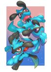 absurdres border collar commentary_request fang gen_4_pokemon gradient gradient_background hand_up highres no_humans nullma open_mouth outside_border pokemon pokemon_(creature) red_eyes riolu signature tongue violet_eyes white_border 