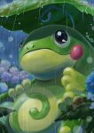  blurry brown_eyes closed_mouth commentary_request gen_2_pokemon highres leaf no_humans outdoors penta_oekaki pokemon pokemon_(creature) politoed rain smile solo water_drop 
