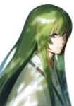  1boy 1other androgynous fate/grand_order fate_(series) green_hair highres kingu_(fate) long_hair looking_at_viewer male_focus mosako sidelocks smile solo upper_body violet_eyes white_robe 
