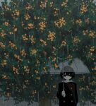  1boy absurdres avogado6 black_eyes black_hair black_jacket buttons commentary_request double-breasted highres holding holding_umbrella hood hood_down jacket jitome original rain solo transparent transparent_umbrella tree umbrella under_tree upper_body wide_shot 