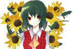  bad_id bust flower green_hair kazami_yuuka plaid_vest red_eyes short_hair smile sunflower tokano touhou 