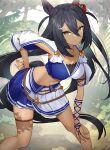  1girl black_hair blue_skirt breasts brown_eyes commentary_request forest hair_between_eyes hair_ornament hairclip hand_on_hip highres hishi_amazon_(umamusume) horse_girl horse_tail long_hair looking_at_viewer medium_breasts midriff nature navel skirt solo standing sukocchi tail two-tone_skirt umamusume white_skirt 