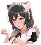  1girl animal_ears apron black_hair blush cat_ears dark_green_hair fang frills hair_ribbon love_live! love_live!_nijigasaki_high_school_idol_club love_live!_school_idol_festival_all_stars maid maid_apron maid_headdress mifune_shioriko open_mouth orange_eyes paw_pose puffy_sleeves red_eyes ribbon shamakho short_hair solo 