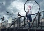  1girl absurdres air_conditioner antenna_hair bag bird braid building clouds cloudy_sky collared_shirt crow expressionless full_body highres kaf_(kamitsubaki_studio) kamitsubaki_studio kneehighs loafers low_twin_braids multicolored multicolored_eyes neck_ribbon overcast pink_hair railing red_ribbon ribbon rooftop satellite_dish school_bag school_uniform shirt shoes shoulder_bag skirt sky transparent transparent_umbrella twin_braids umbrella virtual_youtuber white_shirt winter_parasol yellow_pupils 