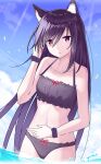  1girl animal_ear_fluff animal_ears arknights black_swimsuit cat_ears cat_girl cat_tail collarbone cowboy_shot dutch_angle eyebrows_visible_through_hair highres long_hair looking_at_viewer melantha_(arknights) midriff nagisa_(cxcx5235) navel outdoors purple_hair sky solo swimsuit tail violet_eyes wading water wristband 