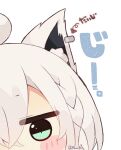  1girl ahoge animal_ear_fluff animal_ears arrow_(symbol) bangs braid chibi close-up ear_piercing eyebrows_visible_through_hair fox_ears green_eyes grey_hair hair_between_eyes highres hololive looking_at_viewer muuran piercing shirakami_fubuki simple_background solo translation_request twitter_username virtual_youtuber white_background 