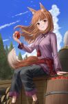  1girl animal_ear_fluff animal_ears apple bangs black_pants blue_sky brown_hair closed_mouth clouds commentary day eating eyebrows_visible_through_hair food fruit highres holding holding_food holding_fruit holo long_hair long_sleeves looking_at_viewer outdoors pants purple_shirt red_eyes shirt silvertsuki sitting sky solo spice_and_wolf tail wolf_ears wolf_girl wolf_tail 