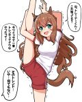  1girl :d animal_ears arms_up bangs black_bow blush bow breasts brown_hair commentary_request ear_bow eyebrows_visible_through_hair feet_out_of_frame gym_shirt gym_shorts gym_uniform hair_between_eyes horse_ears horse_girl horse_tail leg_up long_hair maruzensky_(umamusume) medium_breasts open_mouth puffy_short_sleeves puffy_sleeves red_shorts shirt short_shorts short_sleeves shorts simple_background smile solo split standing standing_on_one_leg standing_split sweat tail takiki translation_request trembling umamusume v-shaped_eyebrows very_long_hair white_background white_shirt 