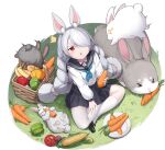  1girl :&lt; alisa_(kuro_no_sakura) animal_ear_fluff animal_ears azur_lane black_skirt carrot corn grass grey_hair highres holding_carrot long_hair long_sleeves looking_at_viewer looking_up mismatched_legwear official_alternate_costume official_art picnic_basket pleated_skirt rabbit rabbit_ears rabbit_girl red_eyes school_uniform serafuku shirayuki_(azur_lane) shirt single_thighhigh sitting skirt solo squash thigh-highs transparent_background very_long_hair white_legwear white_shirt 